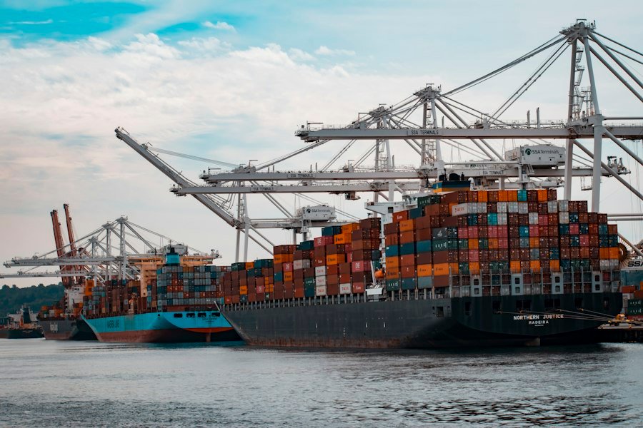Estivadores e Trabalhadores Portuários no Porto de Santos